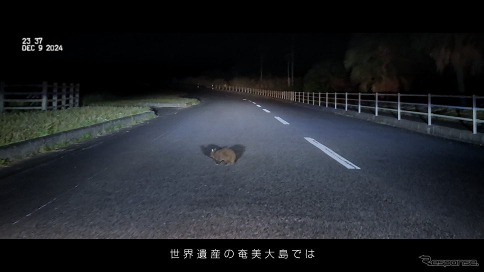 「NISSAN ANIMALERT(アニマラート)」 プロジェクトムービーより《画像提供 日産自動車》