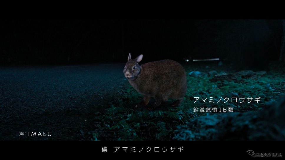「NISSAN ANIMALERT(アニマラート)」 プロジェクトムービーより《画像提供 日産自動車》