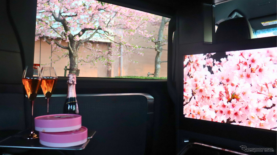 レクサス『LM』を使用した都内桜名所巡りプラン「SAKURA RIDE PLAN」《写真提供 大和自動車交通》