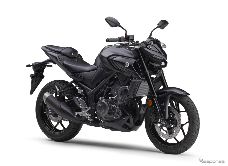 ヤマハ MT-25 ABS(マットダークグレーメタリック8)《写真提供 ヤマハ発動機》
