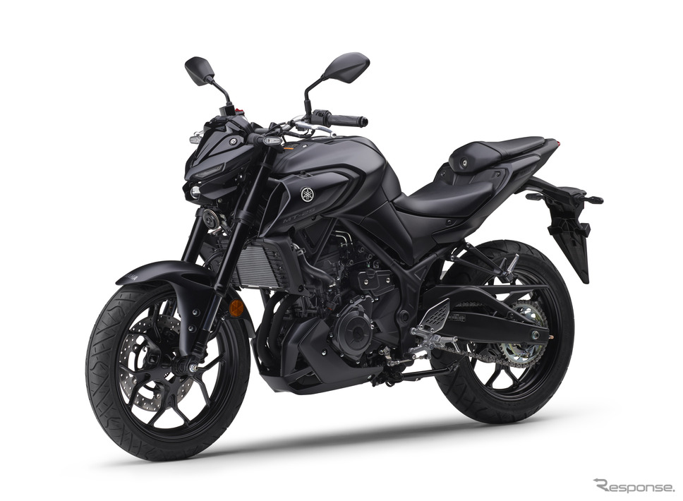 ヤマハ MT-25 ABS(マットダークグレーメタリック8)《写真提供 ヤマハ発動機》