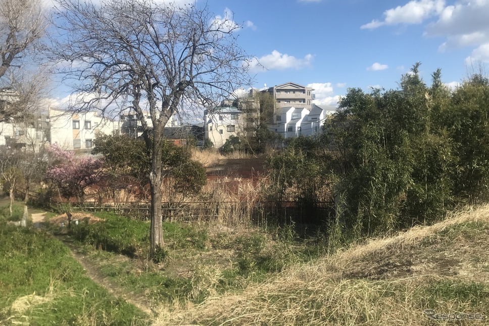 怪無池（けなしいけ）《写真撮影 高木啓》