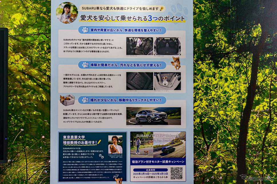 犬が安心して快適にドライブを楽しめるよう、専門家ともコラボした情報発信も行っている。《写真撮影 石川徹》