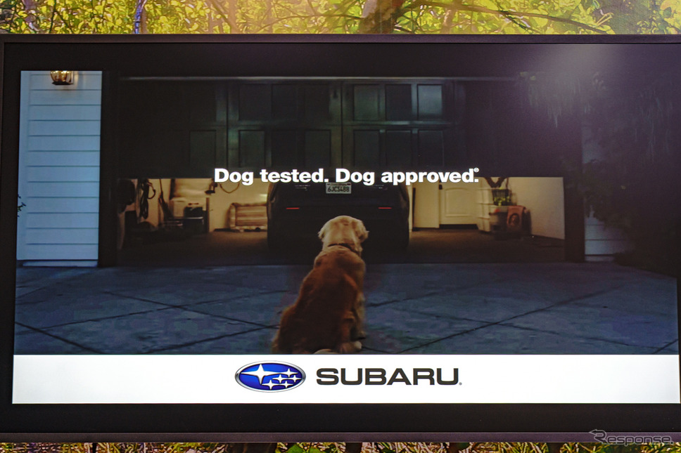 北米では既にTVCMに犬を積極的に活用しているという。《写真撮影 石川徹》