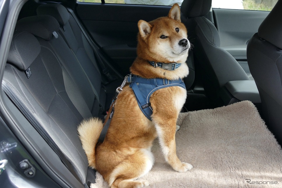 スバル インプレッサ ST・FWD《写真撮影 島崎七生人》