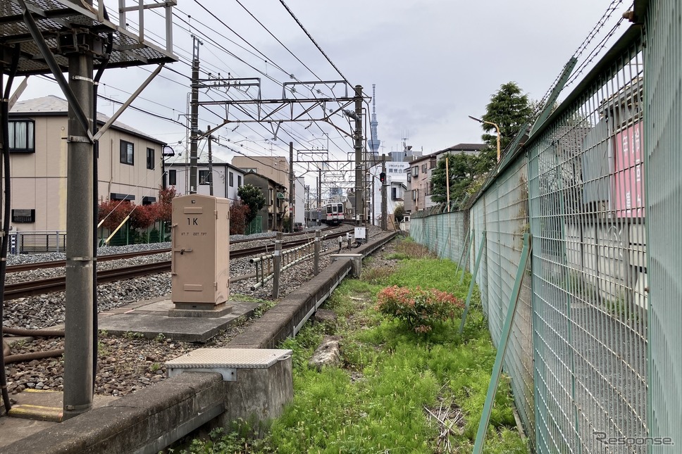 地平の鐘ケ淵から高架の東向島へ駆け上がる電車《写真撮影 高木啓》