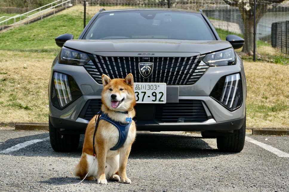 プジョー 2008 GT BlueHDi《写真撮影 島崎七生人》