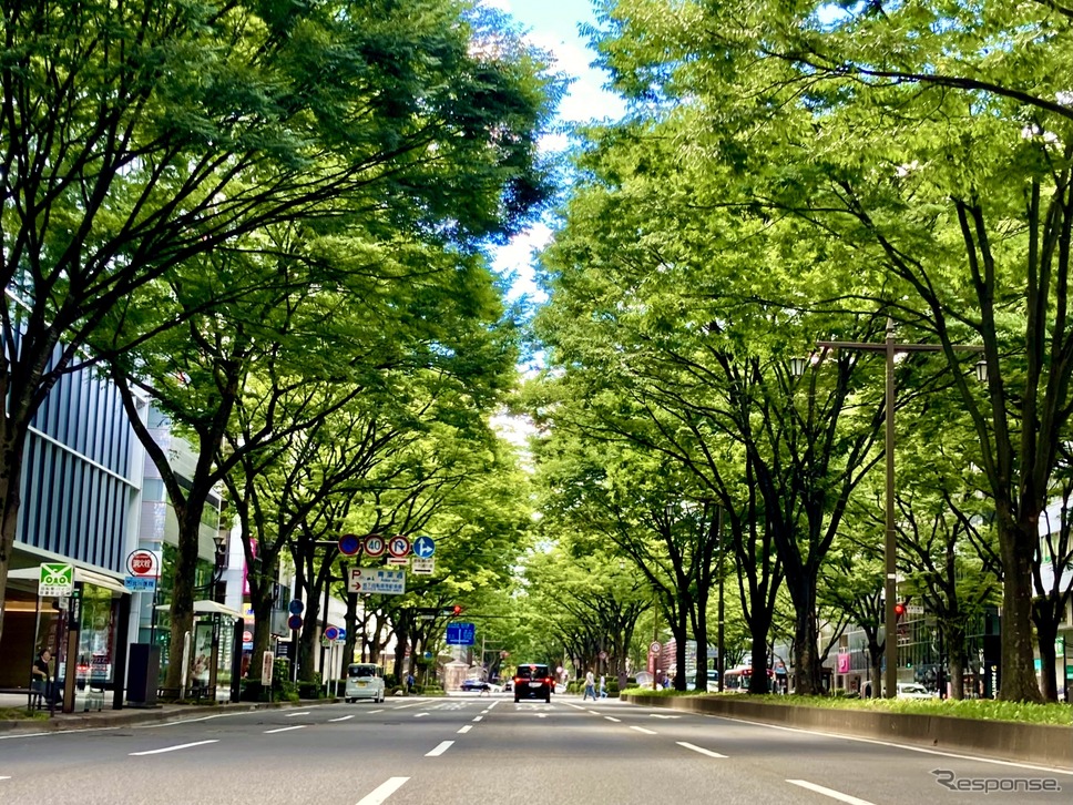 走りも快適性も守る! 車高調、オイル、電装系まで“お手入れ完全マニュアル”〜カスタムHOW TO〜