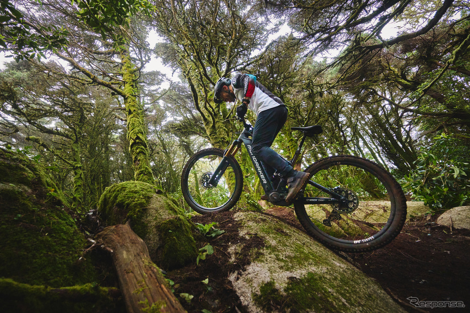 Performance Line CX-Rを搭載したeMTB《photo by Bosch》