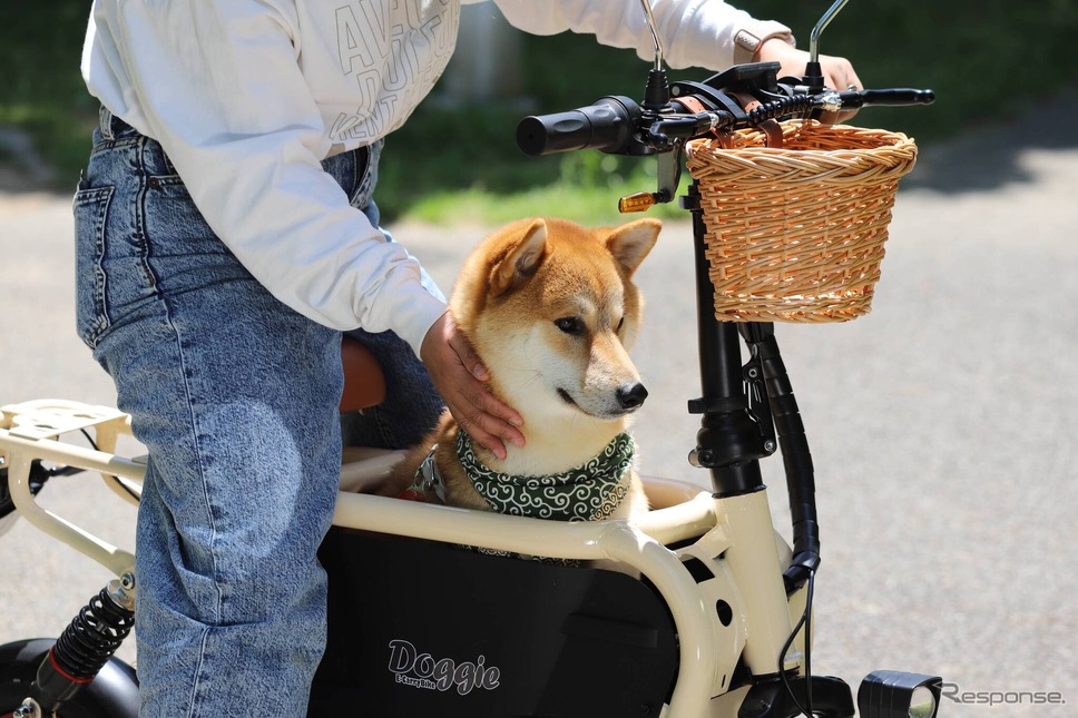 愛犬とお出かけ《写真提供 ウィズ》