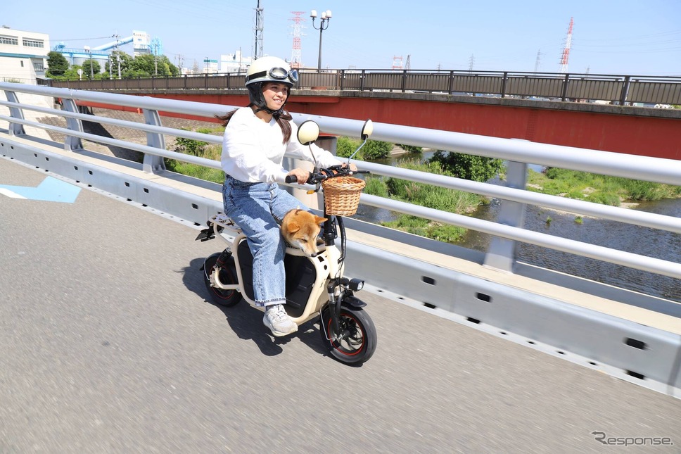 愛犬とお出かけ《写真提供 ウィズ》