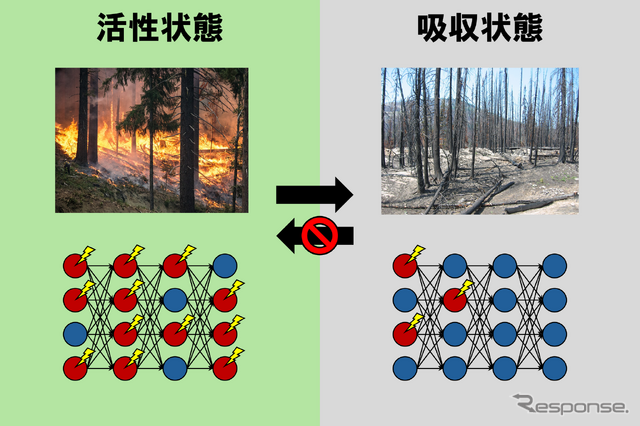 森林火災(上)と、ディープニューラルネットワークにおける人工ニューロンの活動(下)の類似性《写真提供 東京大学》