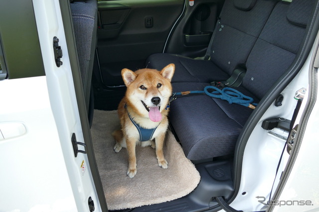 ダイハツ タント RS《写真撮影 島﨑七生人》