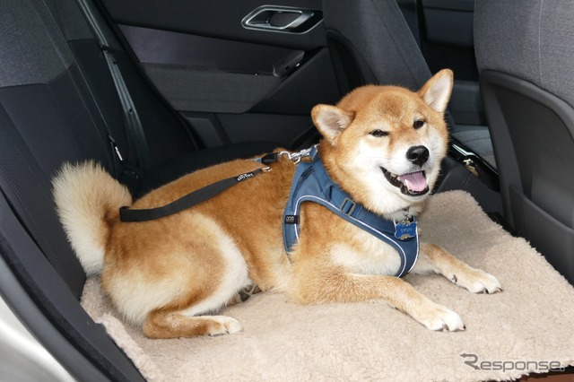 レンジローバー ヴェラール AUTOBIOGRAPHY P400e《写真撮影 島﨑七生人》