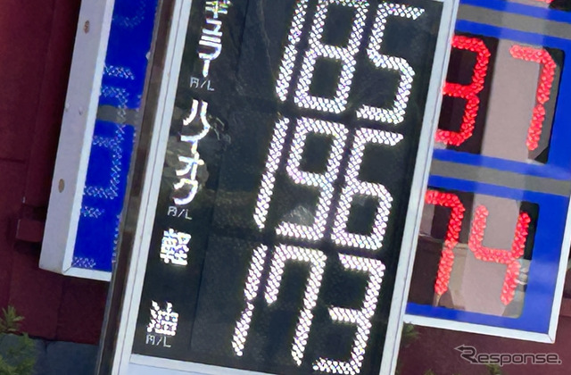 2237493.jpg